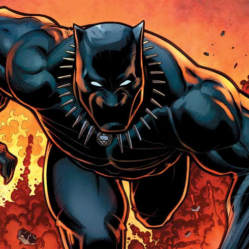 Marvel Black Panther Rise of Black Panther Nintendo 2DS XL (2017) Skin